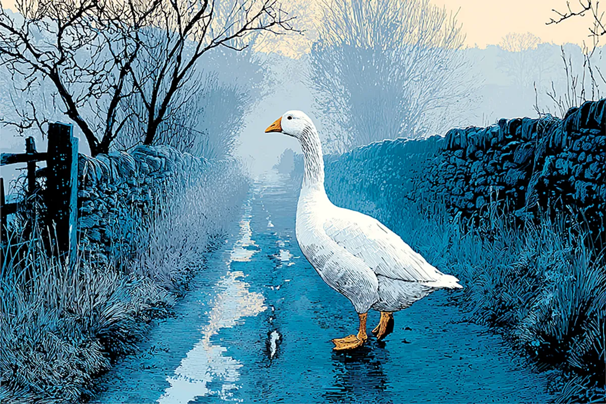 A white goose walking alone down a narrow muddy village lane at early morning, rendered in lino print style. Off-white and cool blue-grey palette, bare hedgerow on one side, low mossy stone wall on the other, morning mist softening the distance. The goose is slightly pompous and entirely unhurried. No children, no books, no text. Clean incised lino print lines with cool blue-grey atmospheric wash, faintly comic and quietly confident mood.